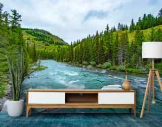 Nature wallpaper for walls